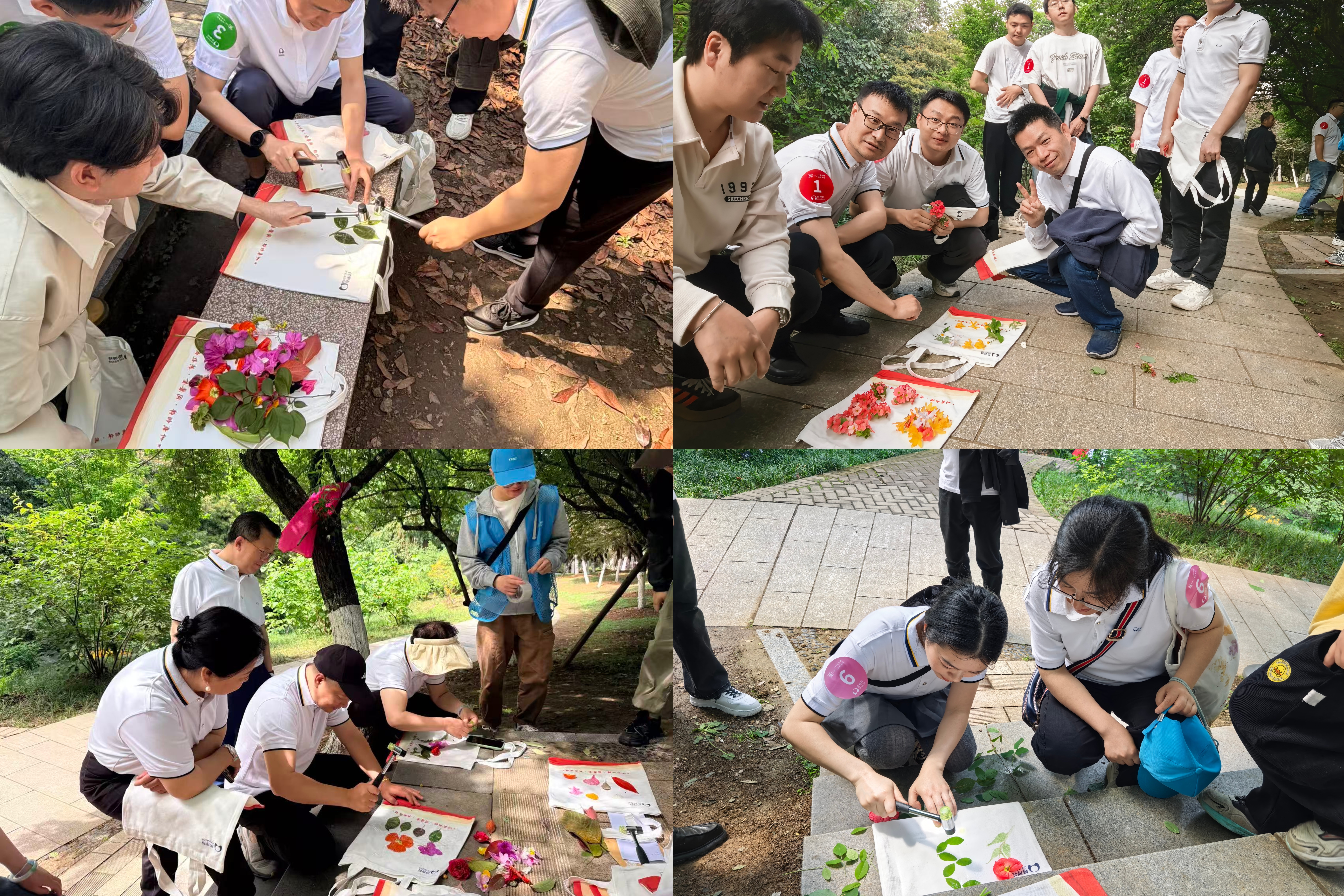 微信圖片_20260411163026_370_14